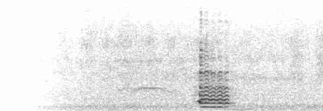  - Red-faced Cormorant