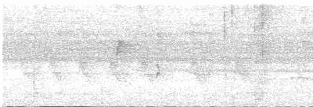 クロガオアオハシキンパラ - ML541024761