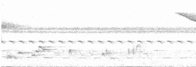 Weißschwanz-Fuchsdrossel - ML541025001