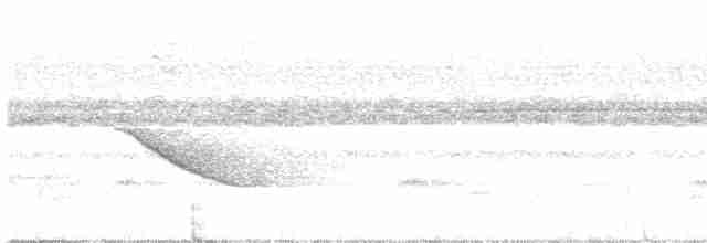 Weißschwanz-Fuchsdrossel - ML541033741