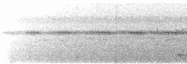 Дрімлюга плямистий - ML541122321