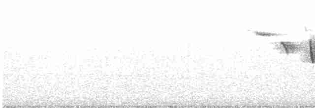 Eurasian Wren - ML541150401