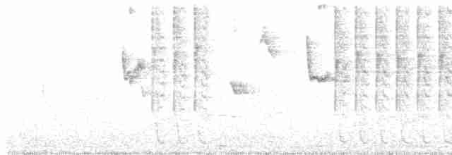 Белогузый колибри - ML541213101