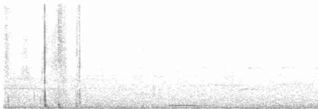 White-headed Pigeon - ML541242691