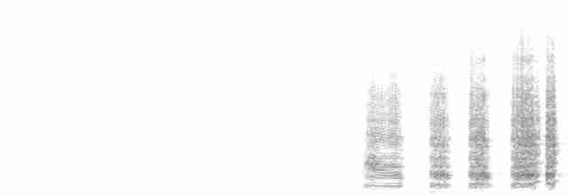  - West Mexican Chachalaca