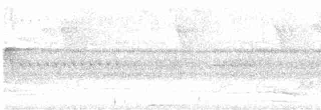 White-shouldered Antshrike - ML541278651