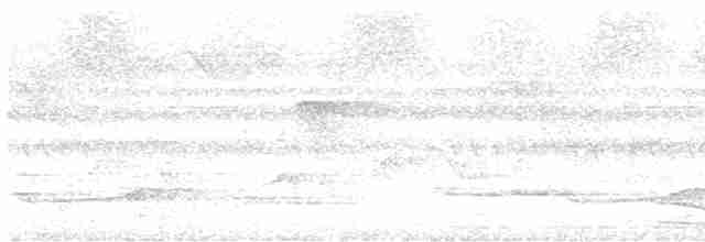 Weißkehl-Ameisendrossel - ML541278881