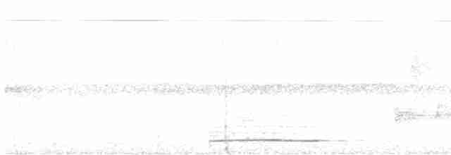 holub safírový - ML541282461