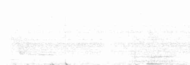 Grauflügel-Ameisenschlüpfer - ML541283721