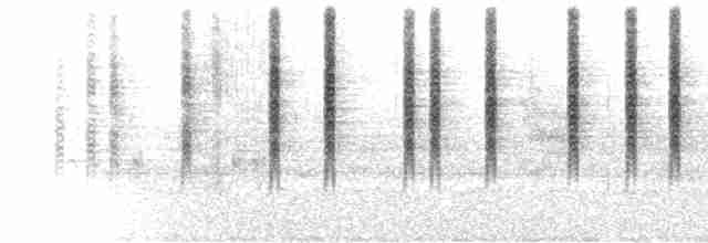  - Turquoise-crowned Hummingbird