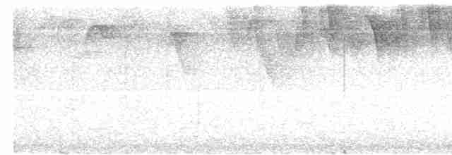 Пестрогорлый колибри-отшельник - ML541347281