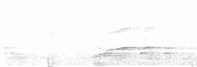 Aigle montagnard - ML541363711