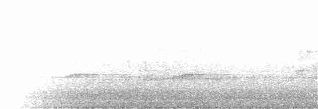 Шилоклювый дятел (auratus/luteus) - ML54146621