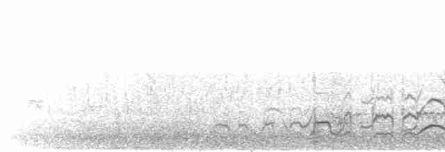  - Long-billed Plover