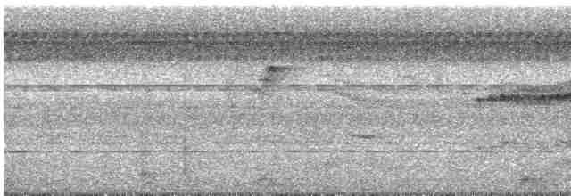 Kara Karınlı Yazılı Ağaçkakan - ML541473501