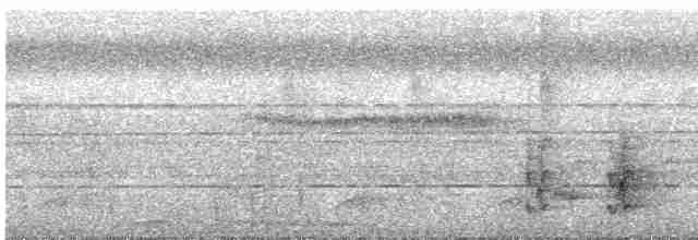 Дятел-коротун смугастокрилий - ML541474751