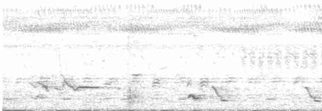 Краснохвостый жако (erithacus) - ML541475611