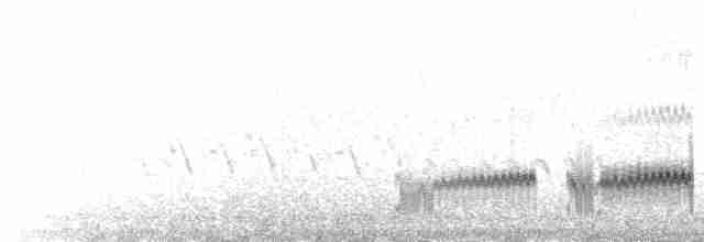  - Spoon-billed Sandpiper