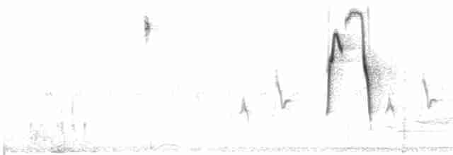 Bridled Sparrow - ML541499981