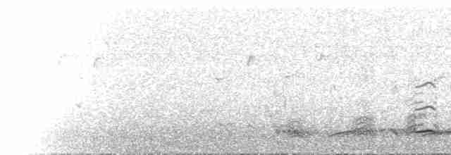  - Crested Serpent-Eagle (Crested)