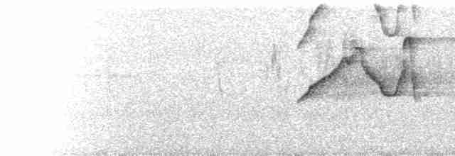  - Double-toothed Kite