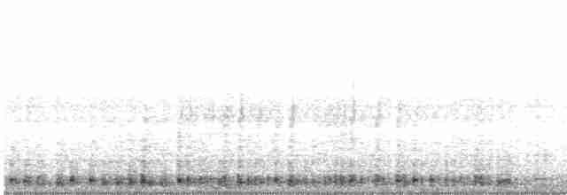 Grulla Trompetera - ML541523081