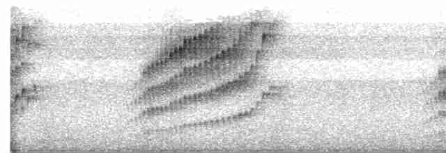 Spot-breasted Wren - ML541543371