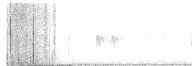 Red Crossbill (Western Hemlock or type 3) - ML541548771