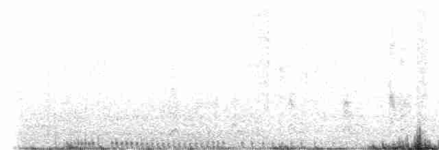 Grulla Trompetera - ML541559101