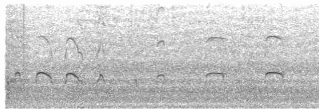 Eurasian Oystercatcher - ML541580361