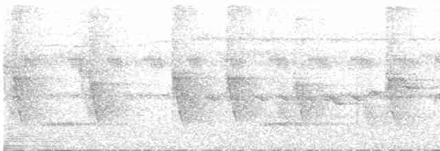 Бюльбюль-довгодзьоб малий (підвид notatus) - ML541580871