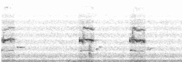 Loggerhead Shrike - ML541605911