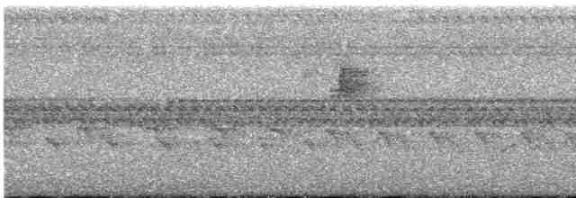 Лінивка-смугохвіст плямистобока - ML541607301