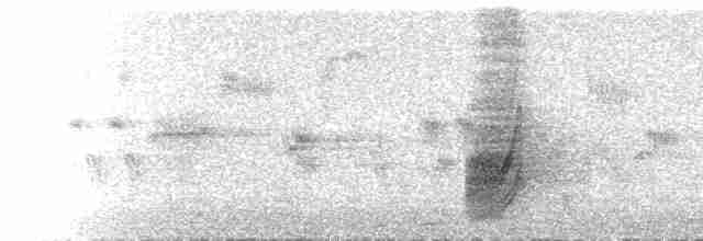  - Azure-winged Magpie (Azure-winged)