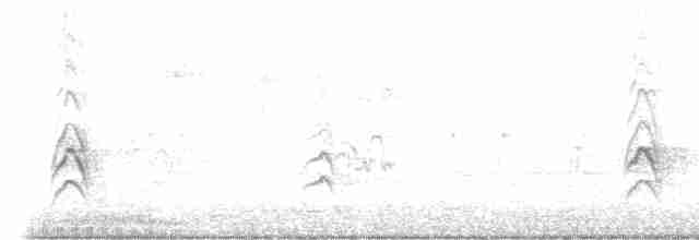 白胸燕鵙 - ML541661701