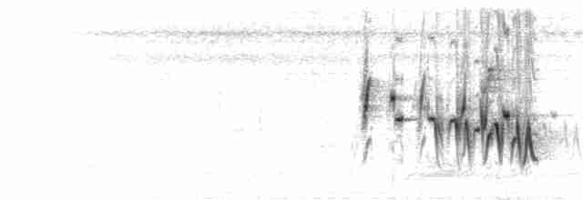  - Yellow-bellied Prinia (Yellow-bellied)