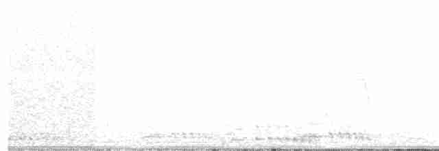 jeřáb kanadský (ssp. tabida/rowani) - ML54168771