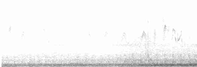 White-spectacled Bulbul - ML541696021