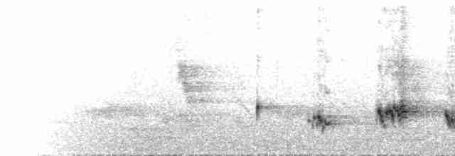  - Light-vented Bulbul (sinensis)