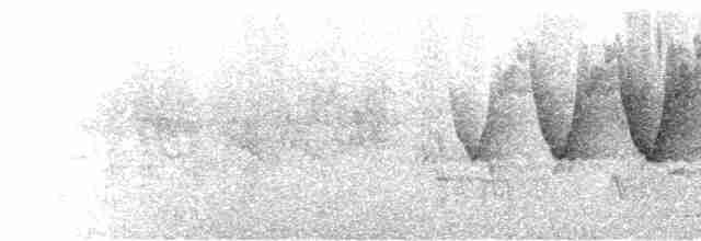  - Ijima's Leaf Warbler