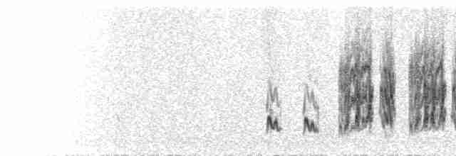  - Chestnut-cheeked Starling