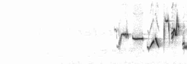  - Siberian Rubythroat