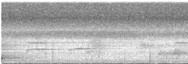 arassari hnědouchý - ML541950041