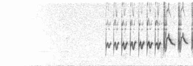  - Oriental Greenfinch