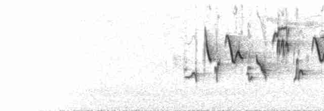  - Yellow-throated Bunting