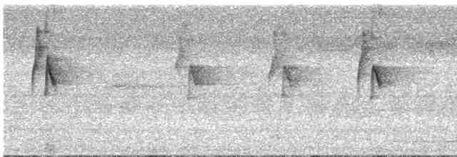 Большеклювый колибри-отшельник - ML541997811