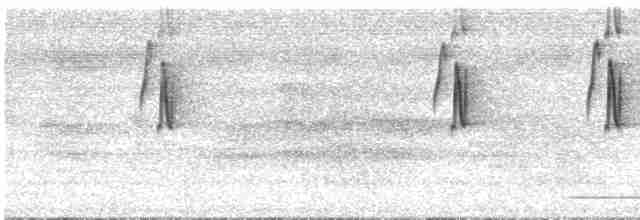 Большеклювый колибри-отшельник - ML541997841