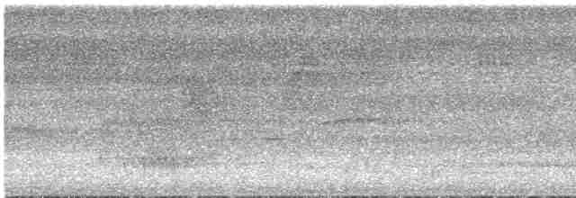 Gray Antwren - ML542019901