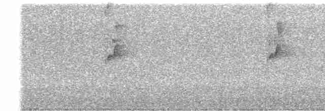 Kara Tepeli Küçük Tiran - ML542029181