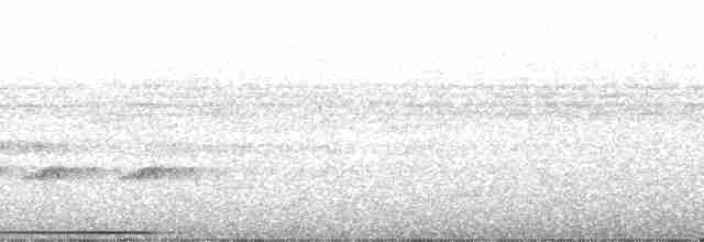Chiriqui Quail-Dove - ML54206